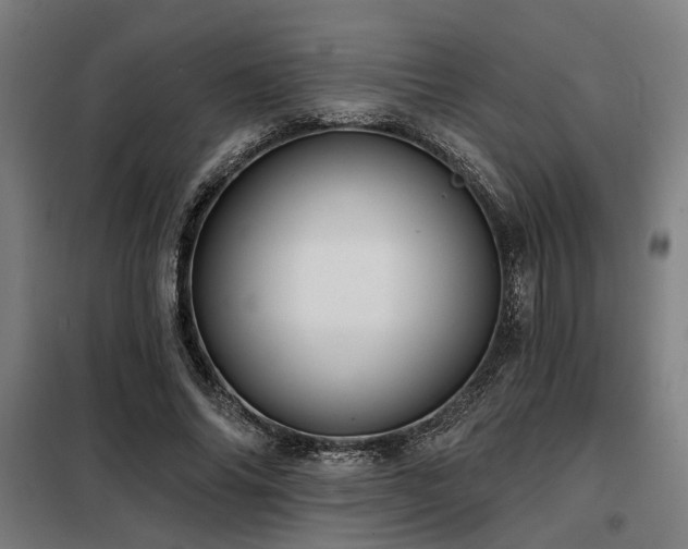 X0000098090686200804041220