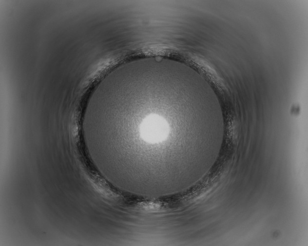 X0000098090687200804041220