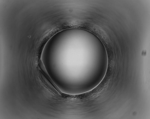 X0000098090689200804041220
