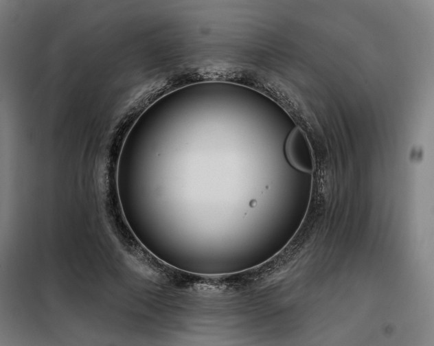 X0000098090690200804041220