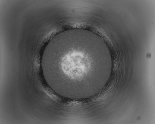 X0000098090691200804041220