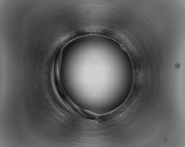 X0000098090692200804041220