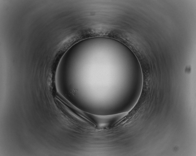 X0000098090693200804041220