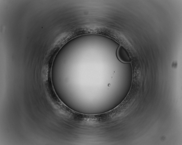 X0000098090694200804041220