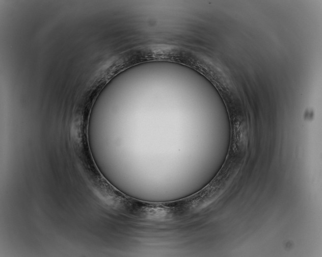 X0000098090698200804041220