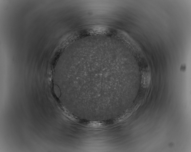 X0000098090701200804041220