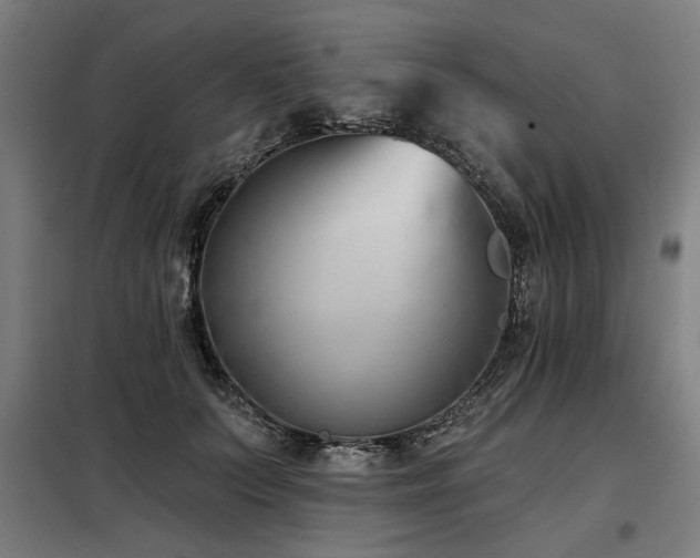 X0000098090703200804041220