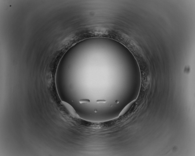 X0000098090704200804041220