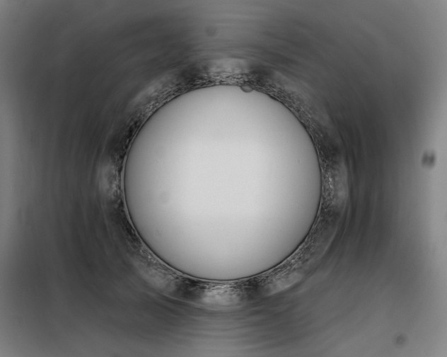 X0000098090705200804041220