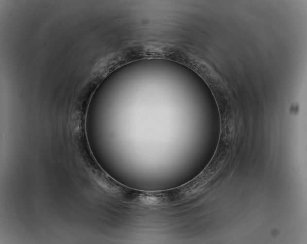 X0000098090706200804041220