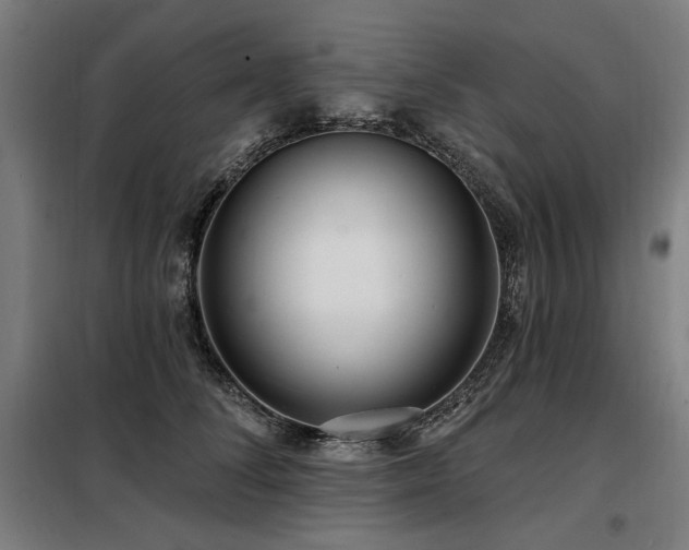X0000098090708200804041220