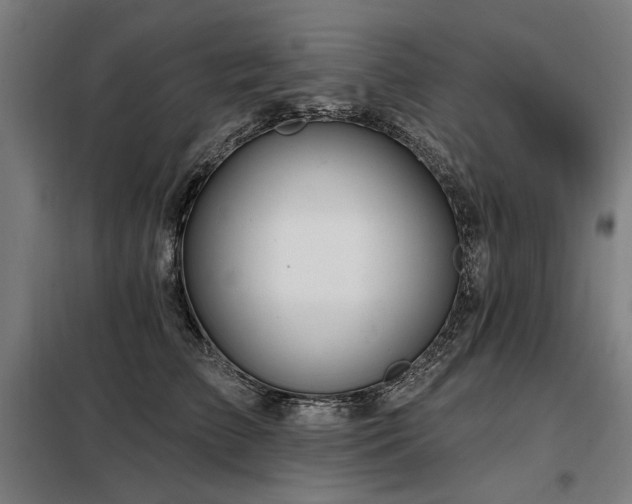 X0000098090709200804041220