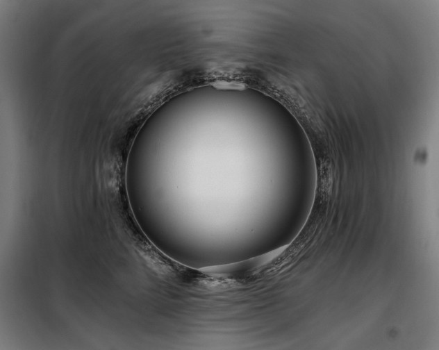 X0000098090712200804041220