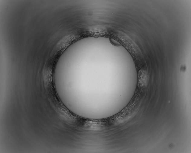 X0000098090713200804041220