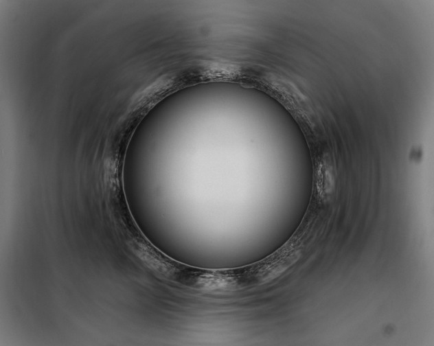 X0000098090714200804041220