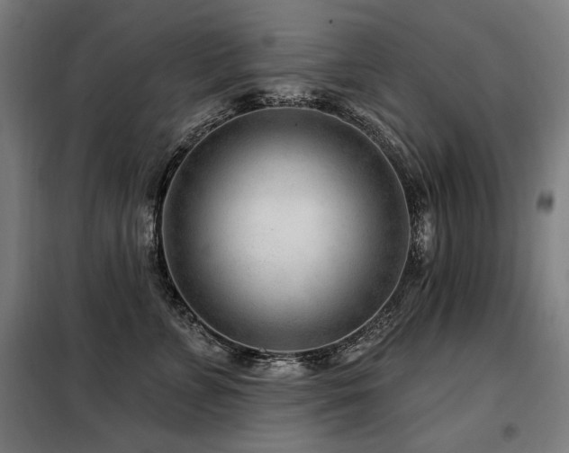 X0000098090715200804041220