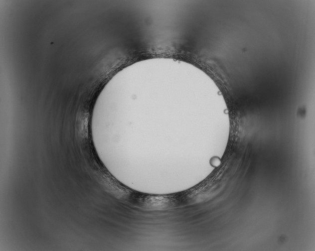 X0000098090717200804041220