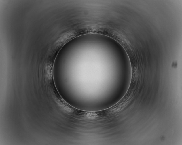 X0000098090719200804041220