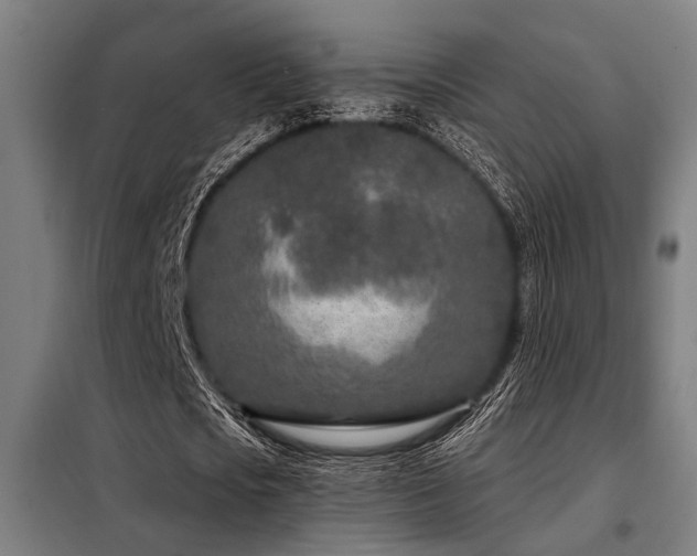 X0000098090721200804041219