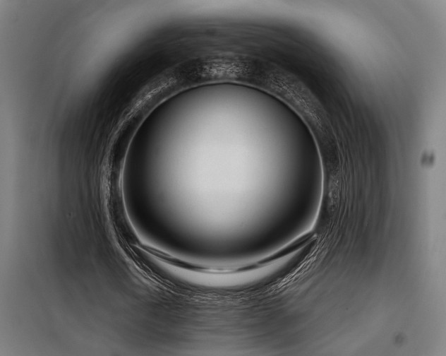 X0000098090722200804041219