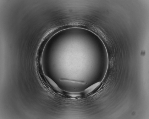 X0000098090724200804041219