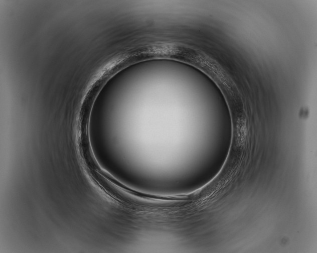 X0000098090726200804041219