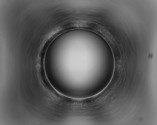 X0000098090727200804041219