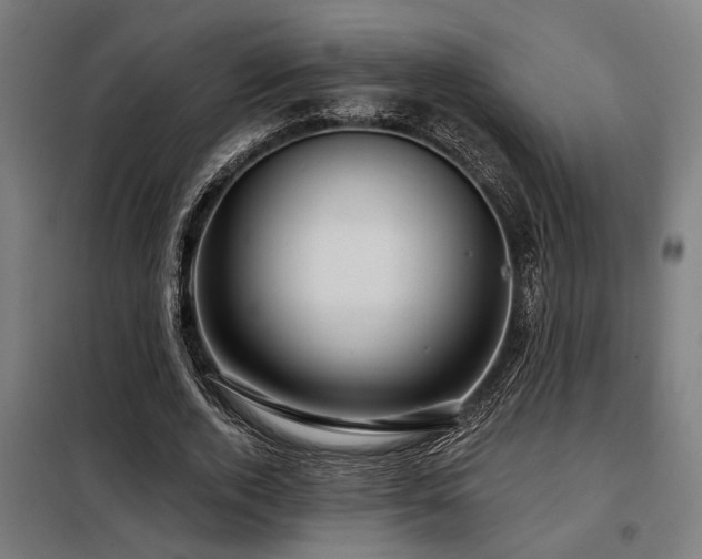 X0000098090728200804041219