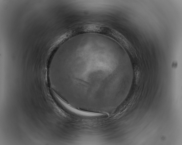 X0000098090729200804041219