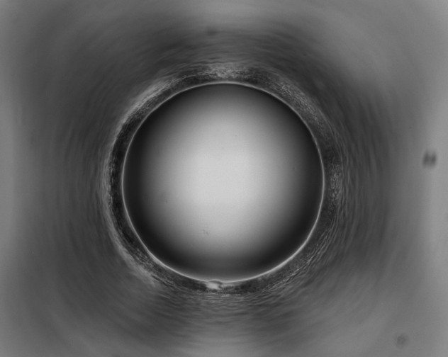 X0000098090730200804041219