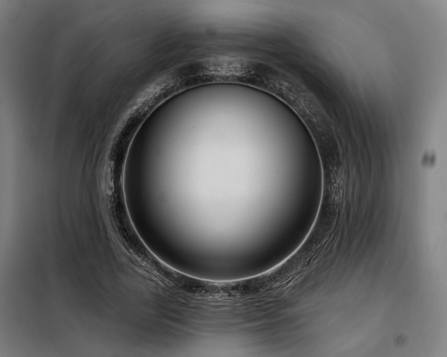 X0000098090731200804041219