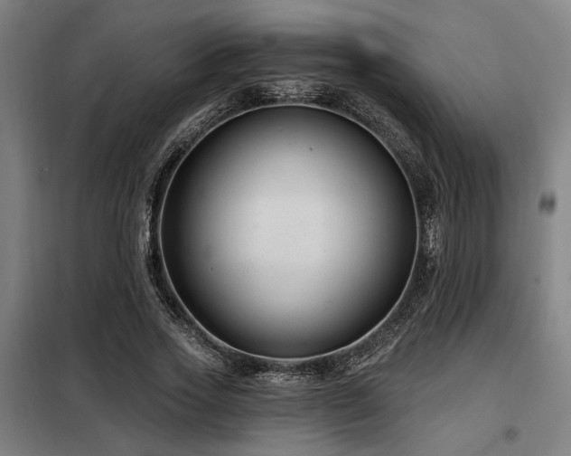 X0000098090733200804041219