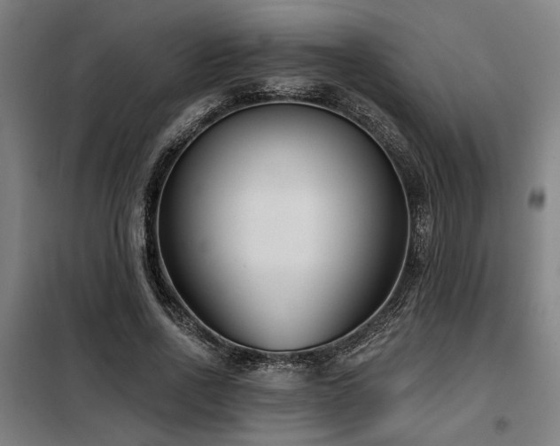 X0000098090734200804041219
