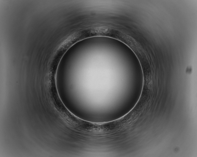 X0000098090735200804041219