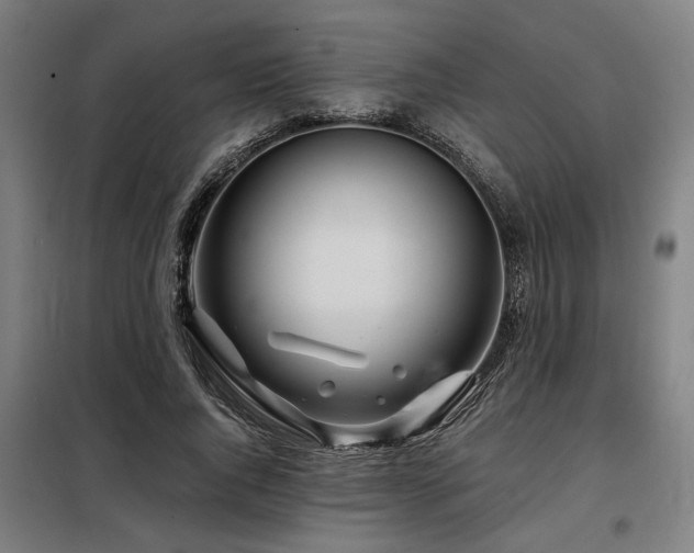 X0000098090736200804041219