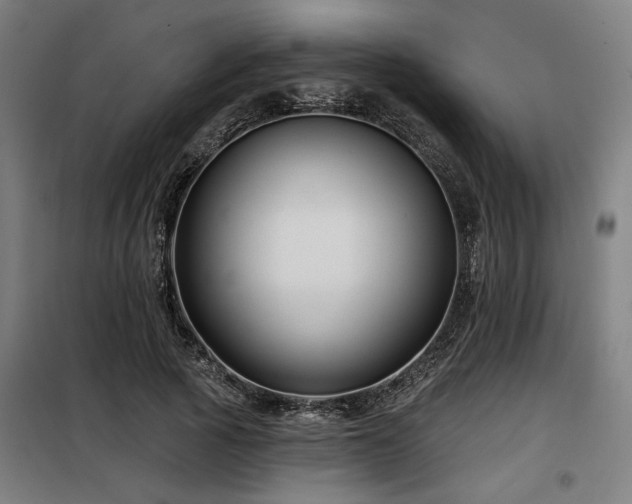 X0000098090737200804041219
