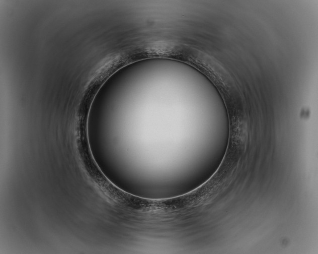 X0000098090738200804041219