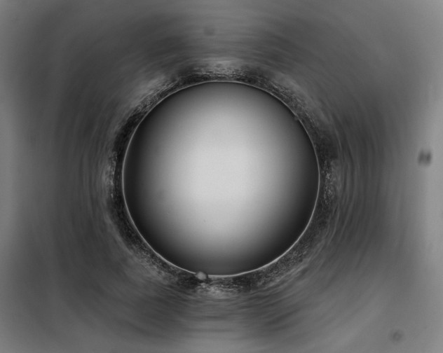 X0000098090739200804041219