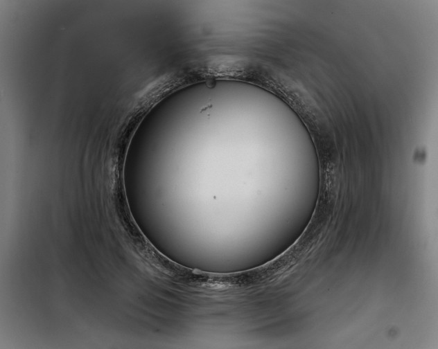 X0000098090741200804041219