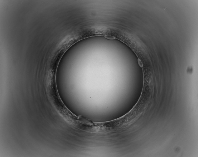 X0000098090744200804041219