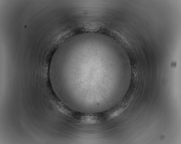 X0000098090745200804041219