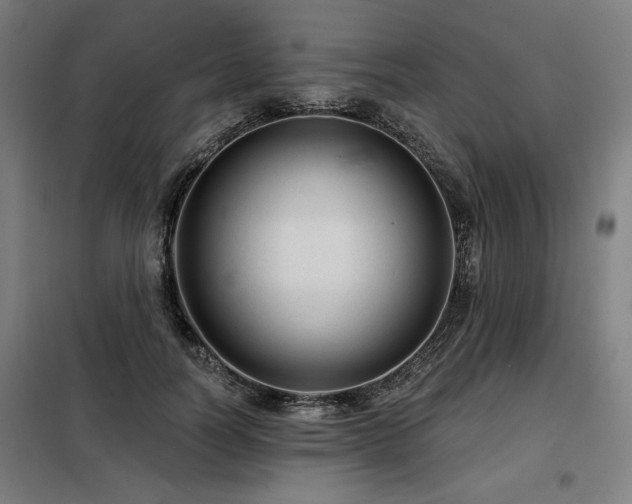 X0000098090746200804041219
