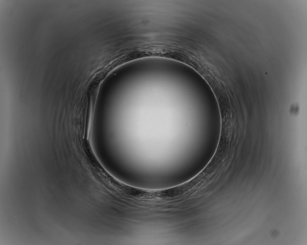 X0000098090747200804041219