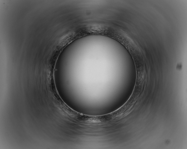 X0000098090749200804041219