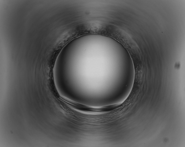 X0000098090750200804041219