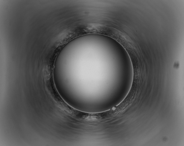 X0000098090751200804041219