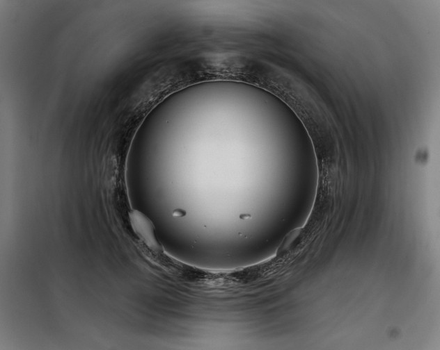 X0000098090752200804041219