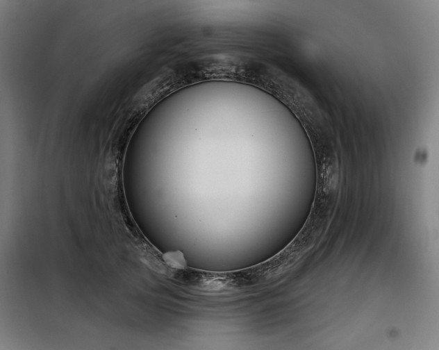 X0000098090753200804041219