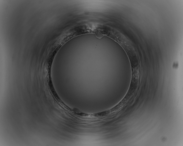 X0000098090754200804041219