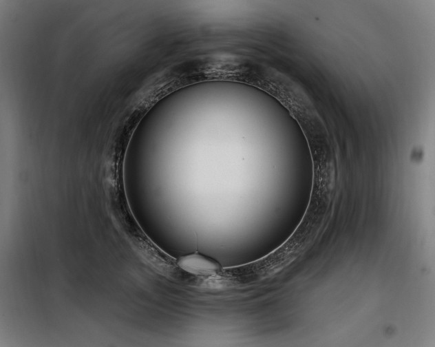 X0000098090755200804041219
